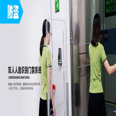 贵阳双人人脸识别门禁系统